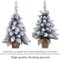 Pre-Lit Artificial Mini Christmas Tree,20 Inch Snow Flocked Artificial Pine Xmas Tree with 40 LED Lights,70 Branch Tips,Desktop